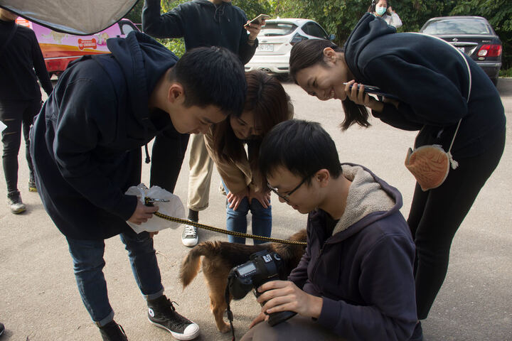 實習主人 — ADOPTION CAMPAIGN production image 24