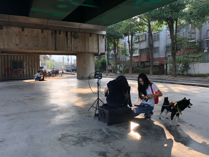 WAITING — NEW TAIPEI CITY ANIMAL PROTECTION FILM production image 11
