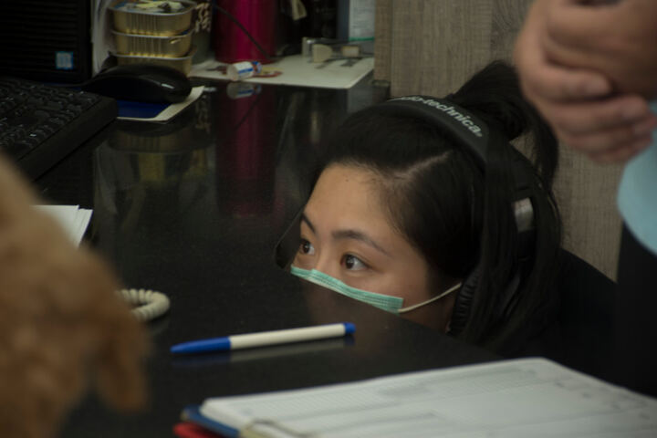 實習主人 — ADOPTION CAMPAIGN production image 43
