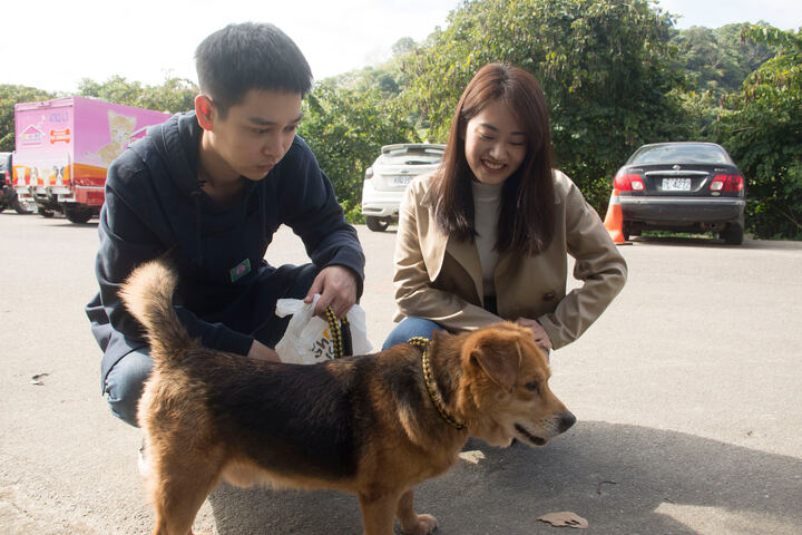 實習主人 — ADOPTION CAMPAIGN production image 27