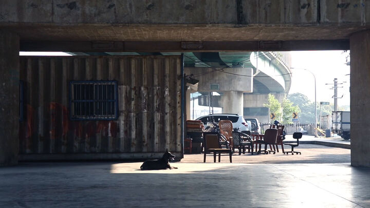 WAITING — NEW TAIPEI CITY ANIMAL PROTECTION FILM production image 1