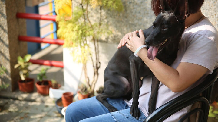 WAITING — NEW TAIPEI CITY ANIMAL PROTECTION FILM production image 3