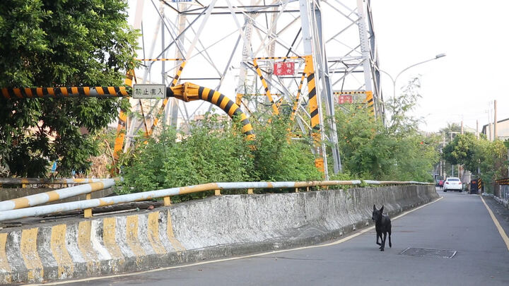 WAITING — NEW TAIPEI CITY ANIMAL PROTECTION FILM production image 2