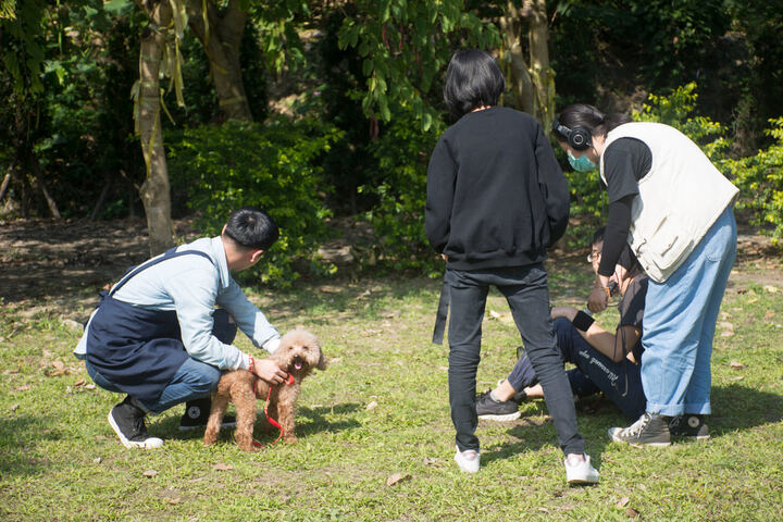 實習主人 — ADOPTION CAMPAIGN production image 74
